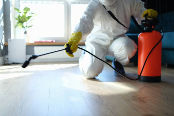 Reliable Blood Cleanup contractor in Sunnyside, CA by Crime Scene Cleaner Online